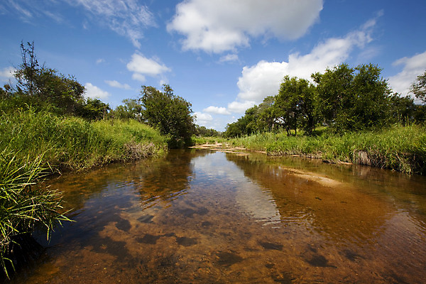 포토 JPG 해외이미지 나무 식물 구름 자연 하늘 갈대 풍경 사람없음 물 강 침묵 연못 개울 황무지 장면 해외202004 해외포토 자연요소 소리 생태계 파일형식 이미지허브
