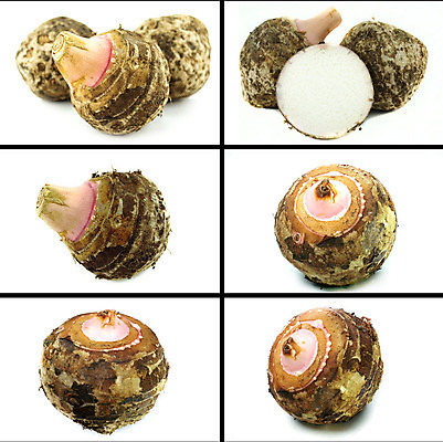 포토 JPG 해외이미지 디자인 포스터 음식 백그라운드 농업 다이어트 채소 과일 자연 탁자 추상 건강 요리 사람없음 쇼핑 농장 꼬리표 주방 흰색 시골 신선 발표 시장 농부 가격 메뉴 유기농 뿌리 박 레시피 칼로리 이익 내추럴 단백질 숙성 채식주의자 카피스페이스 해외202004 해외포토 직업 웰빙 산업 컬러 가구 무늬 라벨 공백 생태계 채식 영양소 파일형식 이미지허브