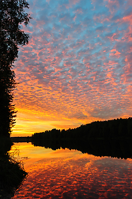 포토 JPG 해외이미지 나무 구름 실루엣 오렌지 자연 하늘 풍경 사람없음 야외 빨간색 물 여름 파란색 강 컬러풀 장미 반사 평화 환경 어둠 침묵 일몰 활발 시골 야간 저녁 숲 큼 러시아 해외202004 해외포토 자연요소 식물 계절 꽃 유럽 컬러 컨셉 과일 촬영기법 노을 소리 크기 생태계 파일형식 이미지허브