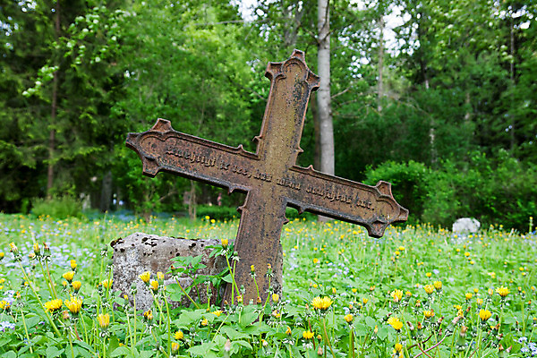 포토 JPG 해외이미지 나무 종교 십자가 사람없음 가을 죽음 무덤 영혼 무서움 버리기 묘사 장례 옛날 해외202004 해외포토 식물 계절 감정 모션 파일형식 이미지허브