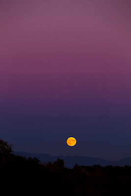 포토 JPG 해외이미지 나무 분홍색 자연 날씨 풍경 사람없음 야외 어둠 황혼 행성 수확 달 가을 야간 상승 천문학 수평선 해외202004 해외포토 자연요소 식물 계절 교육 컬러 컨셉 농업 우주 일몰 생태계 파일형식 이미지허브