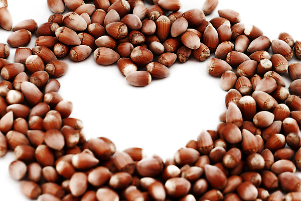 포토 JPG 해외이미지 실내 사람없음 견과류 하트 흰배경 헤이즐넛 해외202004 해외포토 모양 백그라운드 내부 흰색 파일형식 이미지허브