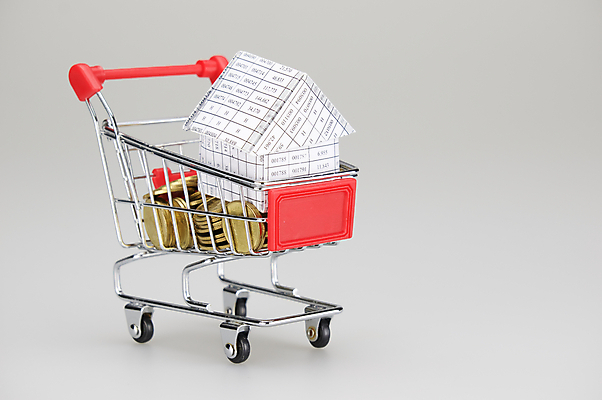 포토 JPG 해외이미지 종이 비즈니스 성공 설계 주택 사람없음 금융 쇼핑 쌓기 동전 검은색 자료 카트 흰색 업무 황금 인쇄 보고서 문서 영수증 시트 계좌 옛날 해외202004 해외포토 컬러 컨셉 돈 모션 건물 경제 작업 파일형식 이미지허브