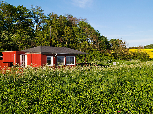 포토 JPG 해외이미지 라이프스타일 외관 여행 건축양식 자연 휴가 휴식 주택 덴마크 사람없음 야외 빨간색 침묵 시골 소나무 황무지 숲 비밀 탈출 휴양지 장면 서쪽 진짜 해외202004 해외포토 나무 건축 컬러 컨셉 북유럽 건물 생활 소리 장소 방향 생태계 파일형식 이미지허브