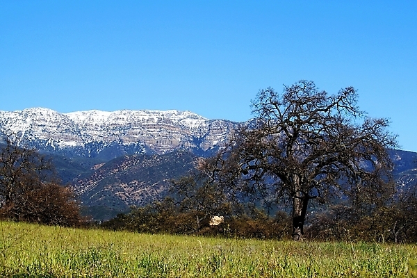 포토 JPG 해외이미지 여행 겨울 밭 농업 자연 하늘 휴가 산 파노라마 옥수수 풍경 사람없음 야외 초록색 파란색 농작물 농장 농경지 계곡 얼음 목장 추위 수확 가을 바위 흰색 시골 신선 언덕 캘리포니아 밭일 눈내림 해외202004 해외포토 자연요소 계절 산업 컬러 곡류 눈_날씨 촬영기법 미국 돌_바위 생태계 파일형식 이미지허브