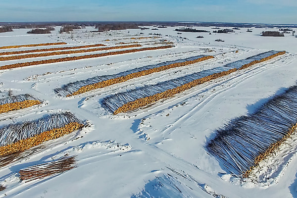 포토 JPG 해외이미지 나무 식물 산업 도로 겨울 자연 풍경 사람없음 건물 목재 여름 세일 쌓기 환경 중국 힘 수확 시골 업무 제조 숲 자르기 목수 유기농 날것 러시아 통나무 수납 자원 잡동사니 방앗간 개발 벌목 부정부패 생태학 수목 시베리아 해외202004 해외포토 직업 건축물 웰빙 계절 교육 유럽 아시아 길 농업 재료 교통시설 모션 작업 생태계 파일형식 이미지허브