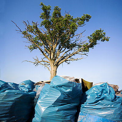 포토 JPG 해외이미지 식물 꽃 산업 줄기 컨셉 잎 자연 하늘 새로움 아이디어 사람없음 야외 초록색 파란색 노란색 환경 봄 재활용 성장 벚꽃 신선 개화 환경오염 캔 보호 쓰레기 폐기물 민들레 컨테이너 플라스틱 버리기 환경보전 낭비 경영 구식 생태학 줄이기 폐수 해외202004 해외포토 계절 교육 컬러 비즈니스 모션 재질 사회이슈 친환경 생태계 파일형식 이미지허브
