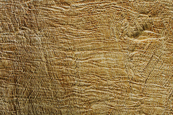 포토 JPG 해외이미지 디자인 종이 백그라운드 패턴 코끼리 미술 사람없음 갈색 손상 수확 골동품 시골 거친 피부 질감 페이지 그런지 세피아 양피지 옛날 핸드메이드 해외202004 해외포토 컬러 컨셉 무늬 농업 포유류 문화예술 촬영기법 신체부위 파일형식 이미지허브