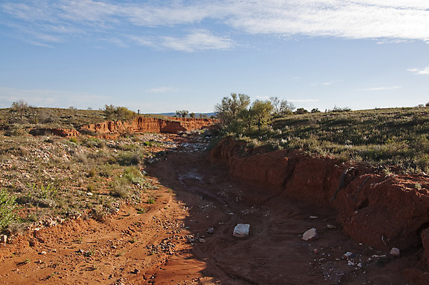 포토 JPG 해외이미지 모래 여행 자연 건조 풍경 사람없음 야외 빨간색 컬러풀 사막 뜨거움 호주 땅 영토 남쪽 내추럴 오지 해외202004 해외포토 컬러 오세아니아 방향 생태계 파일형식 이미지허브