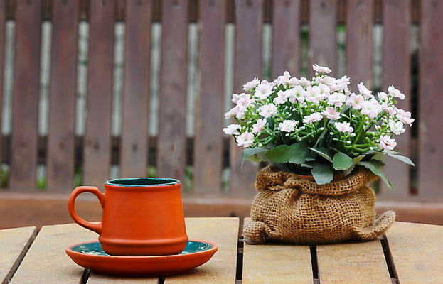 포토 JPG 해외이미지 꽃 행복 커피 음료 꽃다발 백그라운드 가방 탁자 아침 휴식 사람없음 목재 컵 갈색 숟가락 꽃병 어둠 카페 기쁨 추위 신선 뜨거움 아침식사 냄비 매끈함 냄새 자루 점토 에스프레소 내추럴 카페인 힙스터 안락 해외202004 해외포토 주간 나무 식물 식기 잡화 패션 감정 컬러 가구 컨셉 재료 수저 상점 식사 감각 솥 파일형식 이미지허브