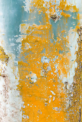 포토 JPG 해외이미지 나무 식물 디자인 백그라운드 무지개 패턴 오렌지 자연 벽지 표면 날씨 추상 건조 사람없음 야외 목재 초록색 파란색 컬러풀 갈색 노란색 줄무늬 소나무 거친 보호 매끈함 숲 낟알 피부 묘사 질감 나무껍질 내추럴 그런지 세피아 옛날 유칼립투스 잇몸 노화 해외202004 해외포토 자연요소 컬러 컨셉 무늬 신체 과일 재료 촬영기법 신체부위 껍질 감각 생태계 파일형식 이미지허브