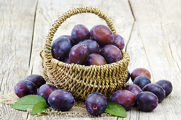 포토 JPG 해외이미지 계절 음식 백그라운드 잎 다이어트 과일 자연 디저트 건강 사람없음 목재 바구니 보라색 신선 달콤 먹기 제비꽃 오브젝트 유기농 자두 내추럴 식욕 옛날 채식주의자 카피스페이스 해외202004 해외포토 나무 식물 웰빙 꽃 컬러 재료 모션 공백 맛 생태계 채식 파일형식 이미지허브