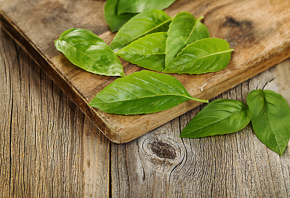 포토 JPG 해외이미지 식물 음식 백그라운드 잎 재료 자연 탁자 요리 사람없음 목재 가로 초록색 정원 활발 시골 신선 양념 닫기 맛 허브 오브젝트 유기농 날것 향기 바질 서버 해외202004 해외포토 나무 웰빙 컬러 가구 컨셉 모션 생태계 냄새 파일형식 이미지허브