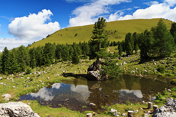 포토 JPG 해외이미지 나무 구름 공원 유럽 호수 여행 자연 하늘 산 풍경 사람없음 야외 초록색 물 여름 파란색 계곡 봄 이탈리아 시골 소나무 황무지 작음 알프스 장면 암초 전나무 내추럴 해외202004 해외포토 자연요소 식물 계절 공공시설 나라 컬러 크기 생태계 파일형식 이미지허브