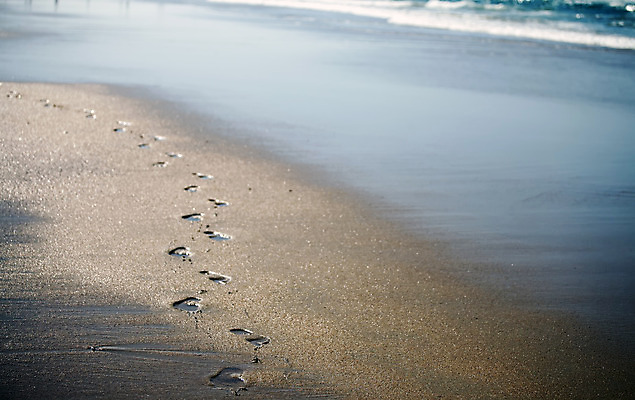 포토 JPG 해외이미지 길 모래 파도 바다 백그라운드 자국 맨발 자연 휴가 휴식 풍경 해변 사람없음 야외 물 여름 모래사장 태양 평화 맑음 산책 자유 인쇄 발자국 단계 내추럴 양발 혼자 해외202004 해외포토 자연요소 계절 컨셉 발 날씨 생태계 파일형식 이미지허브