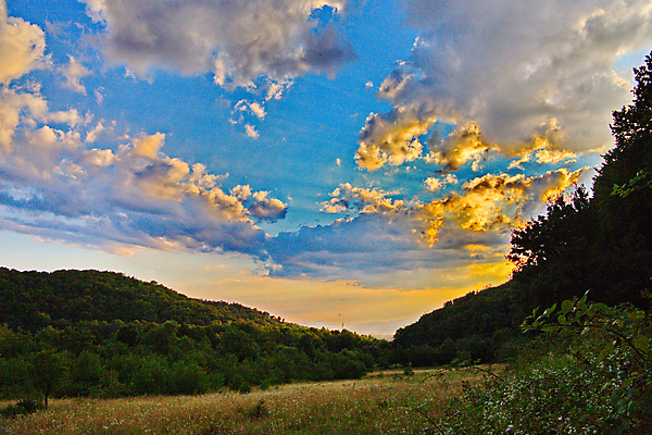 포토 JPG 해외이미지 나무 식물 계절 꽃 여행 백그라운드 밭 자연 하늘 산 풍경 사람없음 야외 초록색 여름 빛 햇빛 태양 계곡 침묵 봄 하이킹 시골 땅 산등성이 내추럴 우크라이나 해외202004 해외포토 자연요소 유럽 컬러 농업 레저 소리 생태계 파일형식 이미지허브