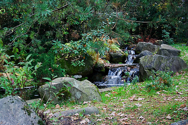 포토 JPG 해외이미지 나무 식물 잎 자연 휴식 이끼 풍경 사람없음 야외 물 강 달리기 평화 계곡 침묵 봄 폭포 흐름 성장 가을 나뭇가지 신선 개울 떨어짐 숲 귓속말 순수 내추럴 해외202004 해외포토 자연요소 계절 컨셉 모션 소리 생태계 파일형식 이미지허브