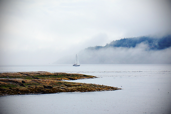 포토 JPG 해외이미지 공원 호수 파도 바다 요트 자연 추상 산 항해 풍경 사람없음 야외 물 강 회색 추위 안개 보트 언덕 함선 비네팅 해외202004 해외포토 자연요소 공공시설 컬러 무늬 배_교통 날씨 촬영기법 생태계 파일형식 이미지허브