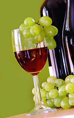 포토 JPG 해외이미지 음료 와인잔 과일 유리 탁자 포도 건조 사람없음 빨간색 초록색 노란색 와인 검은색 저녁식사 어둠 주스 성장 마시기 흰색 물방울 신선 투명 달콤 맛 떨어짐 편안함 다발 수집 만족 아로마 포도나무 향 지하실 해외202004 해외포토 감정 컬러 가구 컨셉 술잔 모션 재질 주류 식사 감각 과일나무 파일형식 이미지허브