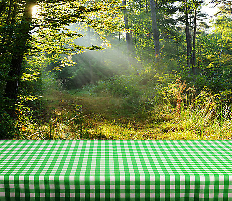 포토 JPG 해외이미지 나무 계절 공원 길 벽 백그라운드 잎 패턴 건축양식 자연 탁자 바닥 프레임 실내 미술 사람없음 내부 건물 목재 초록색 빛 햇빛 태양 갈색 공백 광선 식탁보 판넬 널 숲 오솔길 책상 싱글 그림 질감 체크무늬 내추럴 깅엄 방법 파케트 해외202004 해외포토 자연요소 식물 건축물 공공시설 건축 컬러 가구 무늬 재료 문화예술 생태계 파일형식 이미지허브