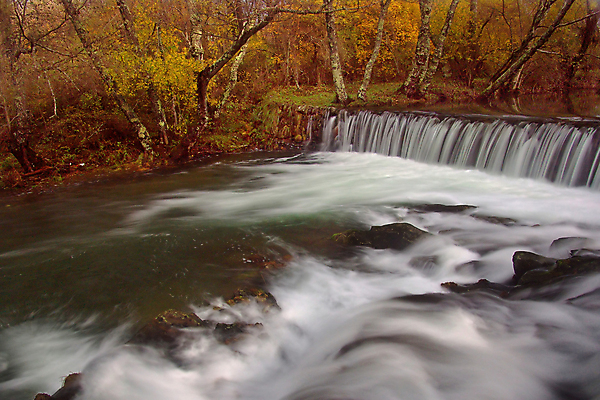 포토 JPG 해외이미지 나무 계절 공원 지구 여행 컨셉 잎 자연 아침 풍경 사람없음 야외 빨간색 물 빛 강 컬러풀 햇빛 평화 환경 침묵 고요 안개 가을 나뭇가지 시골 고독 숲 신비 포르투갈 심플 장면 10월 내추럴 해외202004 해외포토 주간 자연요소 식물 공공시설 감정 유럽 컬러 날씨 태양 소리 날짜 생태계 파일형식 이미지허브