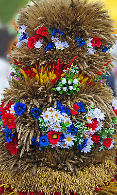 포토 JPG 해외이미지 식물 꽃 빵 줄기 농업 휴가 사람없음 농작물 가을 낟알 시리얼 밀 양귀비 공평 수레국화 호밀 귀리 해외202004 해외포토 계절 산업 음식 곡류 파일형식 이미지허브