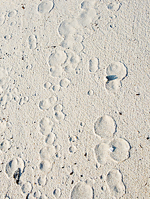 포토 JPG 해외이미지 모래 바다 여행 백그라운드 휴가 사람없음 물 여름 모래사장 물방울 스페인 지중해 해외202004 해외포토 자연요소 계절 유럽 파일형식 이미지허브