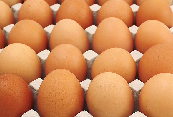 포토 JPG 해외이미지 동물 음식 백그라운드 컨셉 농업 다이어트 재료 자연 조류 부활절 건강 요리 사람없음 상자 농장 갈색 노란색 계란 치킨 성장 껍질 흰색 신선 그룹 아침식사 먹기 싱글 유기농 날것 칼로리 내추럴 깨짐 단백질 삶기 생식 처음 취급주의 해외202004 해외포토 웰빙 기념일 산업 컬러 모션 경고 알 식사 생태계 닭고기요리 영양소 파일형식 이미지허브