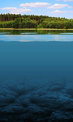 포토 JPG 해외이미지 응시 실루엣 호수 파도 바다 백그라운드 패턴 자연 하늘 표면 바닥 그림자 사람 풍경 사람없음 초록색 물 여름 파란색 햇빛 태양 수중 아래 그림 다이빙 해외202004 해외포토 자연요소 시선 계절 컬러 무늬 촬영기법 수영 방향 생태계 위치 수중스포츠 파일형식 이미지허브