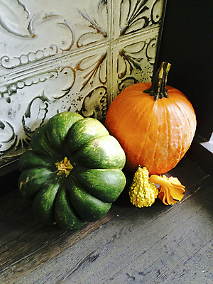 포토 JPG 해외이미지 계절 음식 채소 오렌지 자연 호박 휴가 잉글랜드 사람없음 야외 건물 장식 농장 노란색 축제 미국 할로윈 수확 가을 시골 축하 시장 11월 추수감사절 스쿼시 해외202004 해외포토 건축물 기독교 스포츠 컬러 컨셉 북아메리카 농업 과일 영국 구기 날짜 생태계 파일형식 이미지허브