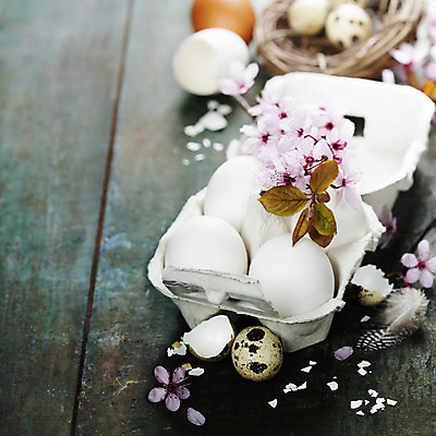 포토 JPG 해외이미지 전통 계절 꽃 행복 종이 음식 분홍색 백그라운드 자연 휴가 주택 이벤트 사람없음 목재 장식 빛 상자 컬러풀 햇빛 노란색 정원 치킨 어둠 화목 봄 기쁨 벚꽃 흰색 신선 체리 둥지 심볼 오브젝트 부활절계란 내추럴 메추리 정물화 해외202004 해외포토 나무 식물 감정 컬러 컨셉 과일 재료 부활절 건물 태양 계란 그림 생태계 닭고기요리 파일형식 이미지허브