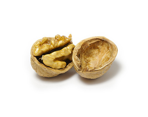 포토 JPG 해외이미지 스튜디오촬영 전신 계절 음식 백그라운드 과일 재료 자연 사람없음 갈색 견과류 흰색 오픈 흰배경 유기농 호두 건강식 고립 꼬투리 해외202004 해외포토 웰빙 컬러 실내 생태계 파일형식 이미지허브