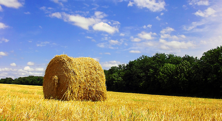 포토 JPG 해외이미지 주간 농업 하늘 풍경 사람없음 야외 농경지 짚더미 해외202004 해외포토 자연요소 산업 농장 볏짚 파일형식 더미 이미지허브