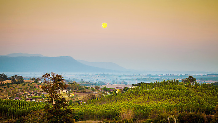 포토 JPG 해외이미지 나무 구름 계절 도로 여행 밭 농업 자국 자연 하늘 아침 산 주택 파노라마 풍경 사람없음 야외 빨간색 초록색 빛 햇빛 태양 농장 농경지 노란색 일출 정원 일몰 봄 새벽 안개 달 가을 시골 언덕 포도밭 장면 내추럴 해외202004 해외포토 주간 자연요소 식물 산업 길 컬러 교통시설 날씨 촬영기법 건물 노을 생태계 파일형식 이미지허브