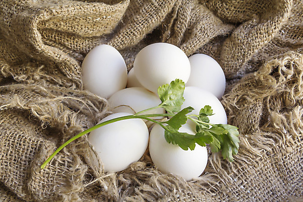 포토 JPG 해외이미지 동물 음식 백그라운드 표면 실내 파슬리 건강 사람없음 갈색 계란 흰색 시골 직물 신선 면 그룹 중앙 먹기 삼베 순수 오브젝트 유기농 질감 심플 캔버스 섬유 무료 생식 아마 평야 해외202004 해외포토 웰빙 꽃 컬러 컨셉 채소 모션 자연 내부 알 파일형식 천_직물 이미지허브