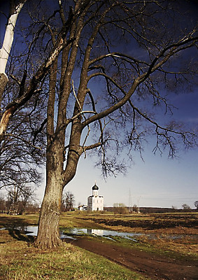 포토 JPG 해외이미지 나무 식물 계절 실루엣 겨울 자연 추상 건조 골격 사람없음 야외 목재 교회 가을 나뭇가지 죽음 신비 나무껍질 가뭄 내추럴 벌거벗은 썩음 얇은 옛날 해외202004 해외포토 컨셉 무늬 재료 종교건축 날씨 촬영기법 건물 껍질 생태계 파일형식 이미지허브