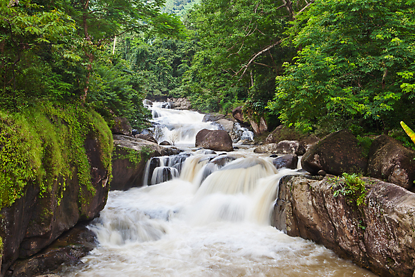 포토 JPG 해외이미지 나무 식물 공원 잎 모션 태국 자연 휴가 휴식 풍경 사람없음 목재 초록색 물 강 놀람 봄 폭포 흐름 가을 신선 개울 숲 시원함 당구 순수 천국 내추럴 삼림지대 파라다이스 현재 해외202004 해외포토 자연요소 계절 공공시설 감정 아시아 컬러 컨셉 재료 표정 구기 생태계 파일형식 이미지허브