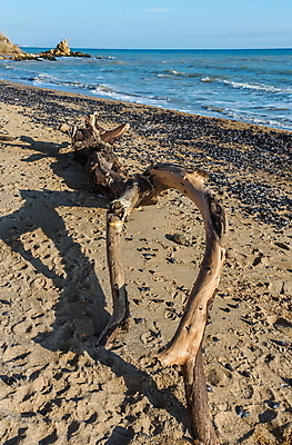 포토 JPG 해외이미지 계절 모래 파도 바다 자연 조류 풍경 사람없음 물 파란색 태양 마을 껍질 가을 시골 만 고독 만족 홍합 석호 우크라이나 화창 해외202004 해외포토 자연요소 동물 감정 유럽 컬러 날씨 어패류 생태계 파일형식 이미지허브