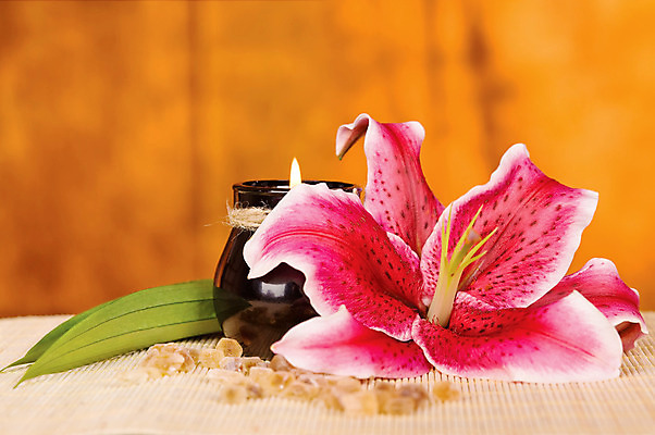 포토 JPG 해외이미지 꽃 잎 휴식 사람없음 장식 건강관리 스파 목욕 화장품 욕실 난초 스킨케어 사우나 바디케어 위생관리 해외202004 해외포토 식물 컨셉 건강 관리 뷰티 청결 파일형식 이미지허브