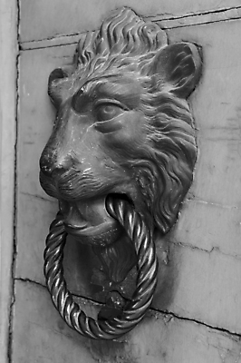 포토 JPG 해외이미지 동물 디자인 유럽 건축양식 주택 사람없음 야외 목재 장식 머리 문 마을 금속 이탈리아 수확 골동품 반지 사자 철 묘사 보안 대문 청동 옛날 철강 해외202004 해외포토 나무 건축 나라 농업 재료 장신구 포유류 재질 안전 건물 신체부위 파일형식 이미지허브