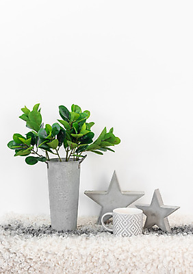 포토 JPG 해외이미지 식물 별 화초 벽 백그라운드 잎 자연 따뜻함 사람없음 내부 장식 컵 초록색 인테리어 금속 꽃병 공백 회색 머그컵 흰색 나뭇가지 찻잔 흰배경 시멘트 부드러움 내추럴 구성 콘크리트 카피스페이스 아연 안락 해외202004 해외포토 자연요소 나무 식기 디자인 꽃 컬러 컨셉 재질 잔 감각 생태계 영양소 파일형식 이미지허브