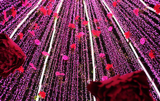 포토 JPG 해외이미지 나무 행복 분홍색 백그라운드 크리스마스 패턴 태국 새해 사람없음 장식 장미 축제 시간 날짜 큼 보케 블러 카운트다운 해외202004 해외포토 식물 기념일 꽃 감정 아시아 컬러 무늬 크기 파일형식 이미지허브