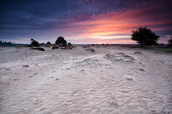 포토 JPG 해외이미지 모양 나무 식물 구름 계절 모래 분홍색 백그라운드 곡선 오렌지 자연 하늘 아침 바람 풍경 사람없음 야외 빨간색 여름 파란색 모래사장 컬러풀 일출 침묵 일몰 하이킹 사막 시골 모래언덕 언덕 속도 네덜란드 질감 해외202004 해외포토 주간 자연요소 유럽 선 바다 컬러 과일 레저 날씨 노을 소리 생태계 파일형식 이미지허브