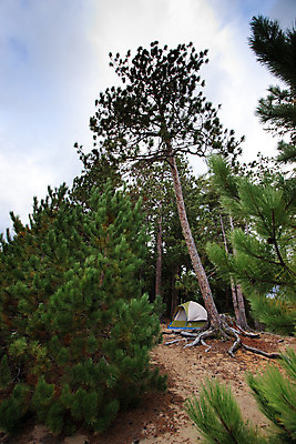포토 JPG 해외이미지 나무 공원 모래 여행 자연 휴가 휴식 텐트 풍경 경사 사람없음 야외 목재 초록색 여름 파란색 빛 모래사장 햇빛 침묵 경기장 캠핑 장비 소나무 황무지 고독 숲 땅 캠핑장 언덕 뿌리 나무껍질 내추럴 혼자 해외202004 해외포토 식물 계절 공공시설 감정 바다 컬러 컨셉 재료 스포츠시설 레저 캠핑도구 태양 소리 껍질 생태계 파일형식 이미지허브