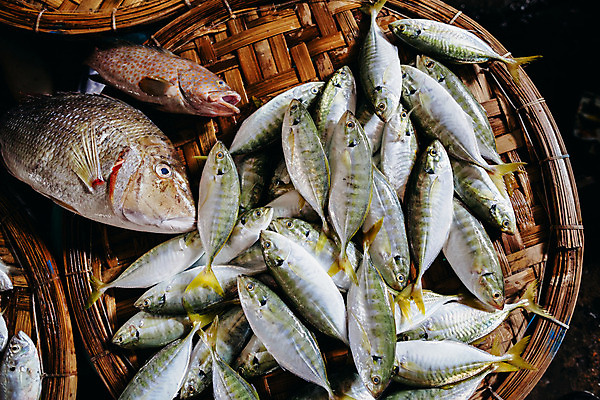 포토 JPG 해외이미지 전통 문화 조각 비즈니스 자연 거리 어류 요리 동양인 사람없음 세일 얼음 여러개 젖음 신선 도시 시장 자르기 참치 해산물 베트남 지역 고등어 소매 이국적 차이나타운 해외202004 해외포토 자연요소 다수 모션 인종 관광지 동남아시아 수중동물 생태계 파일형식 이미지허브