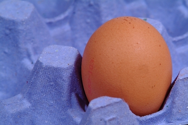 포토 JPG 해외이미지 동물 디자인 음식 백그라운드 자연 부활절 건강 선물 사람없음 장식 빛 농장 노란색 주방 계란 봄 껍질 신선 닫기 맛 아침식사 먹기 심볼 만족 만들기 노른자 해외202004 해외포토 계절 기념일 감정 컬러 컨셉 농업 모션 알 식사 생태계 파일형식 이미지허브