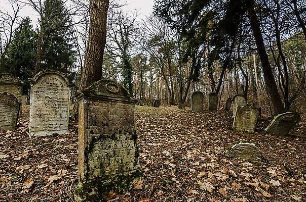 포토 JPG 해외이미지 꽃 기독교 종교 지구 백그라운드 십자가 부활절 사람없음 목재 조각상 검은색 성경 바위 기도 죽음 예수 영혼 목사 심볼 애도 신성 땅파기 신앙심 옛날 장례식 오싹 해외202004 해외포토 나무 식물 기념일 컬러 재료 종교용품 조형물 신_종교 성직자 파일형식 이미지허브