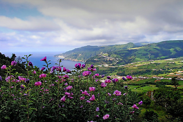 포토 JPG 해외이미지 나무 꽃 도로 여행 백그라운드 밭 농업 교통시설 모션 하늘 휴가 휴식 항해 풍경 사람없음 야외 초록색 물 여름 평화 마을 와인 시골 그물 네트워크 고속도로 양치기 사진사 속도 짐차 멀리 루트 직진 수평선 해외202004 해외포토 자연요소 식물 직업 계절 산업 길 컬러 교통 컨셉 배_교통 자동차 주류 작가 시설 파일형식 이미지허브
