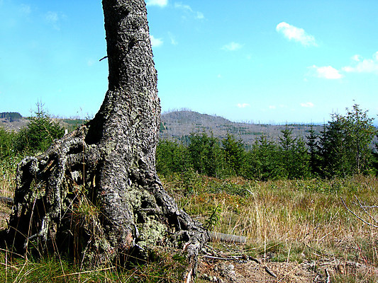 포토 JPG 해외이미지 나무 구름 길 여행 백그라운드 밭 모션 자연 하늘 산 항해 풍경 잔디 사람없음 야외 초록색 여름 파란색 농장 농경지 맑음 봄 하이킹 운전 자유 수확 흰색 고속도로 고독 숲 언덕 속도 뿌리 담배꽁초 루트 자동 수평선 해외202004 해외포토 자연요소 식물 계절 감정 도로 컬러 컨셉 농업 배_교통 레저 날씨 담배 생태계 파일형식 이미지허브