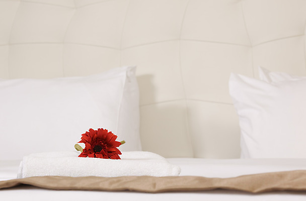 포토 JPG 해외이미지 디자인 꽃 여행 가구 비즈니스 건축양식 베개 침구 호텔 휴가 휴식 바닥 주택 실내 사람없음 내부 목재 장식 빛 카펫 침실 방 흰색 침대 램프 커튼 고급 우아함 시트 여관 더블 스타일 해외202004 해외포토 나무 식물 건축 컬러 생활용품 컨셉 재료 숙소 조명 건물 파일형식 이미지허브